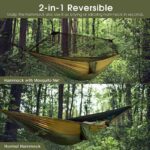 Tree Hammock